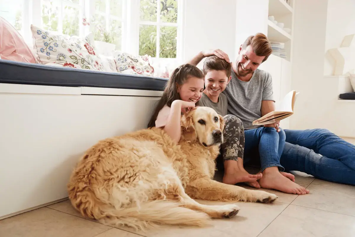 HVAC Services